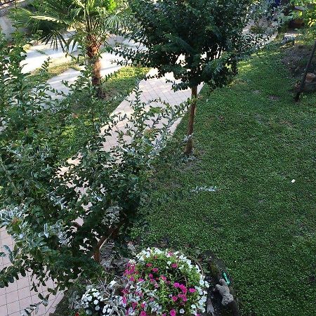 كوماكيو B&B Dai Nonni المظهر الخارجي الصورة