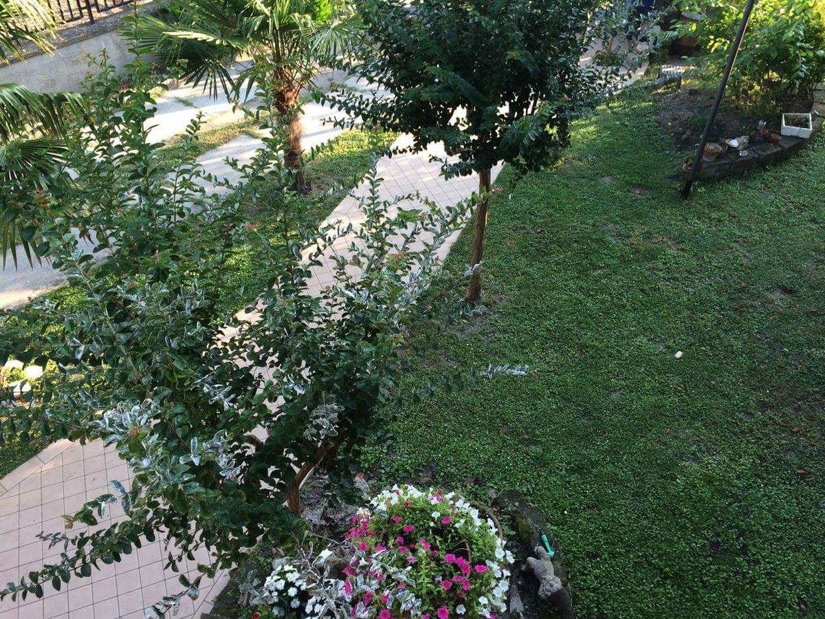 كوماكيو B&B Dai Nonni المظهر الخارجي الصورة